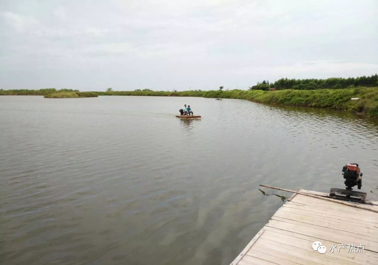 流水槽新型水产养殖模式,新型池塘循环水产养殖