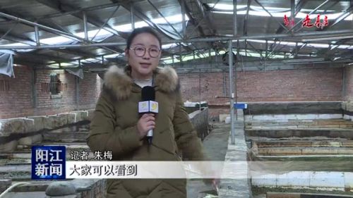 水蛭菲牛蛭生态养殖,水蛭养殖技术创新