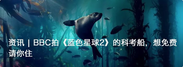 十年近1000名环保人被害，只有10凶手被定罪？