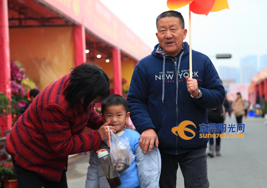 武汉迎春花市新品种,一年一度的迎春花市即将闪亮登场