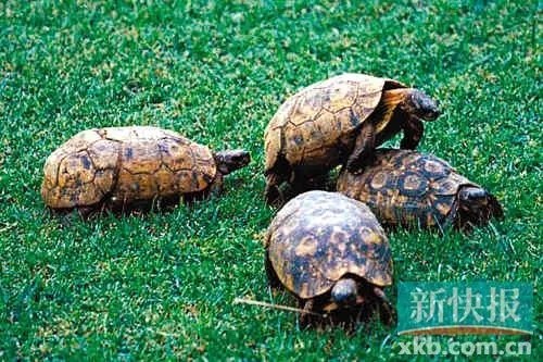 年关将至大家注意事项,年关将至请注意什么