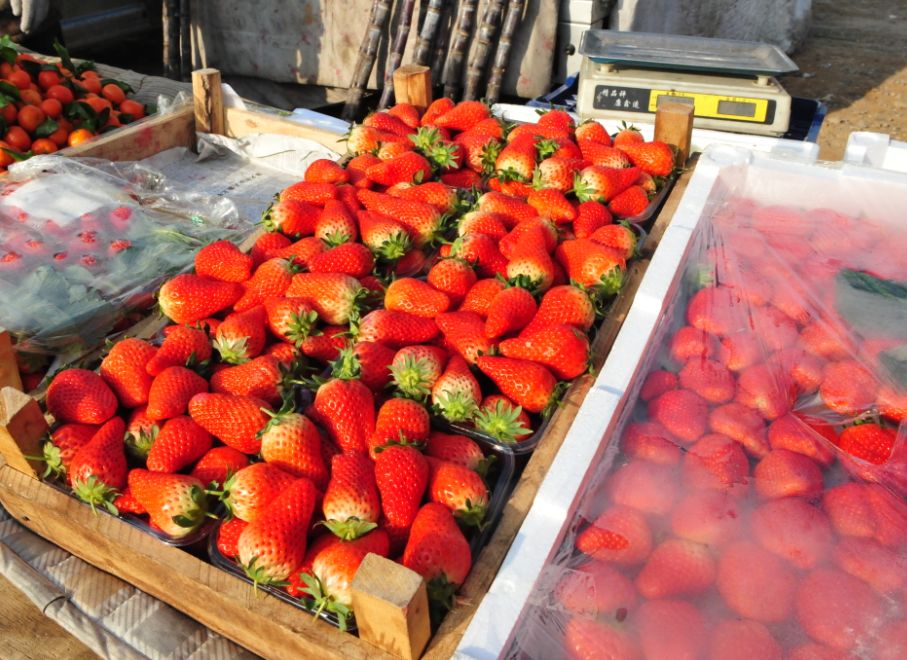 赶大集办年货浓浓年味迎春节,赶年货大集品浓浓年味