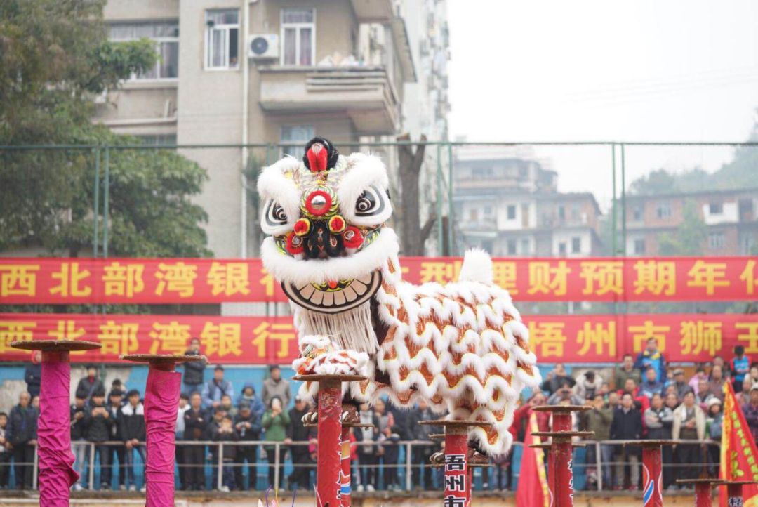 最精彩狮王争霸赛,狮王争霸赛精彩视频