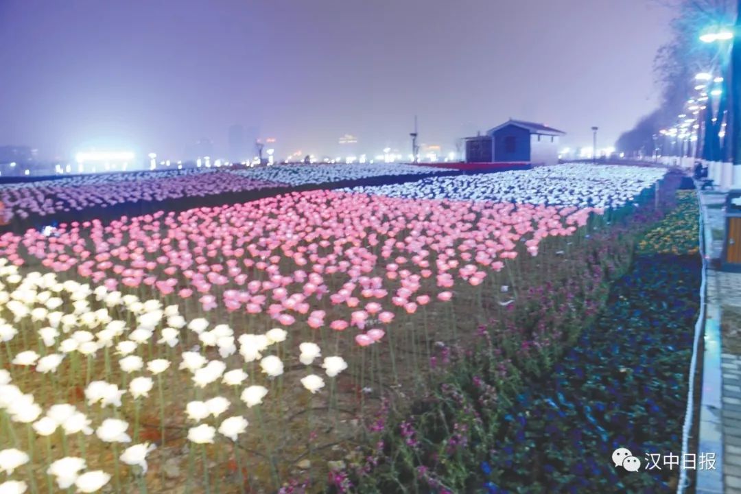 水母灯步行街,仙气满满的水母灯