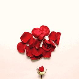 撩拨情人节｜听说时尚新娘的编辑们已经带着礼物去过节了？