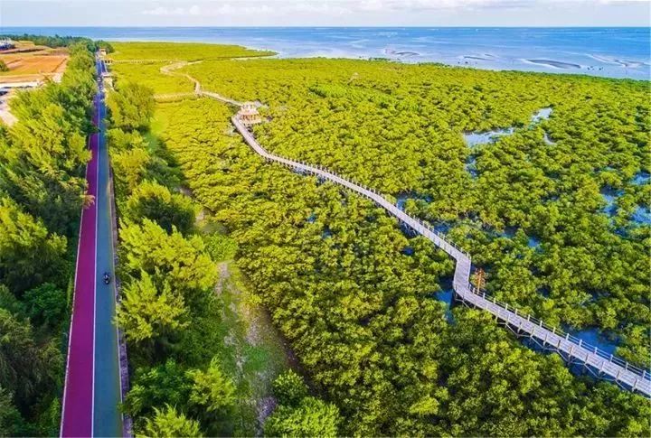 北海十大打卡海景,城事粤语