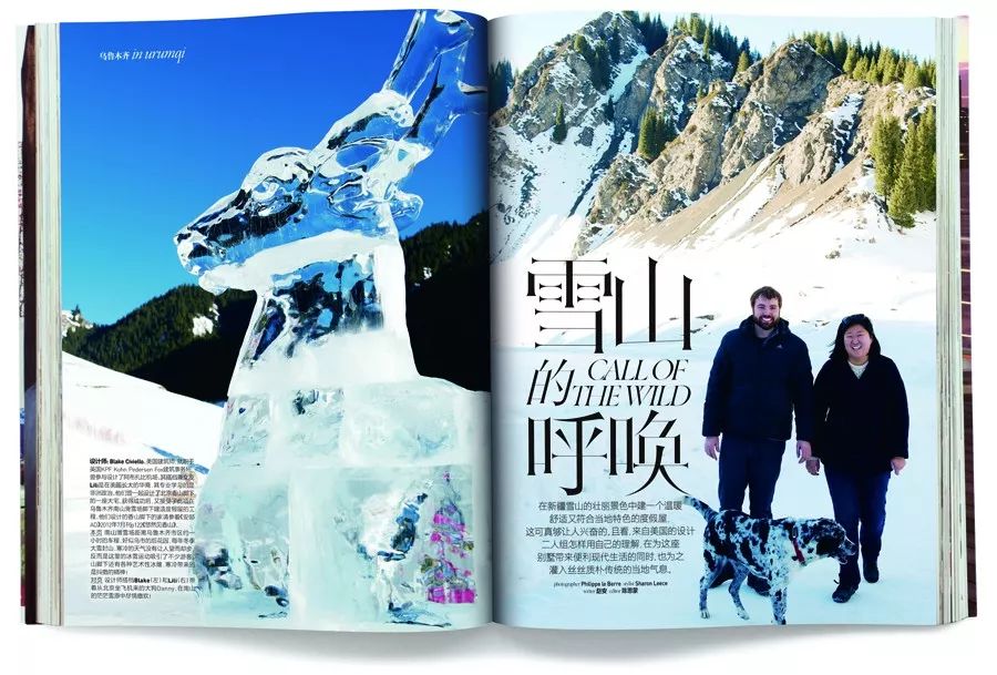 狗年除夕夜｜那些上过《安邸AD》的狗朋友们怎么样了？