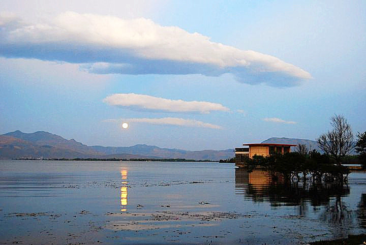 大理白月光,大理白色月光