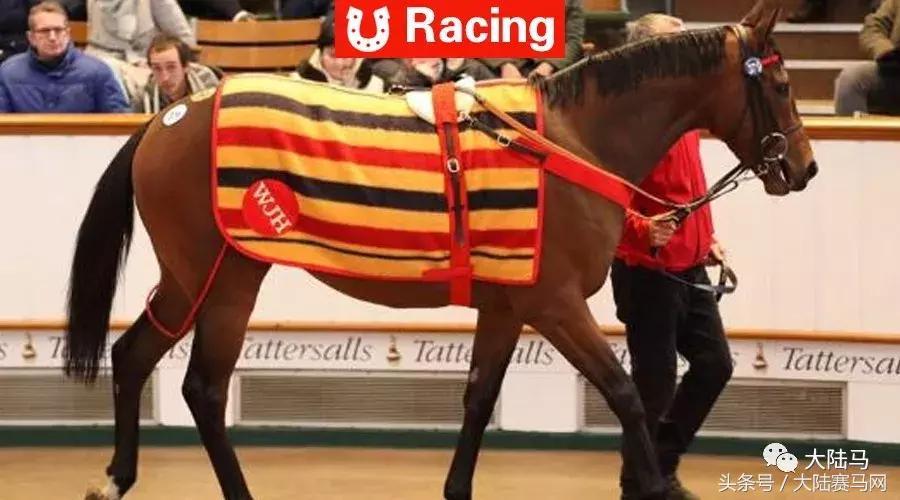 迪拜王室7辆价值60亿黄金跑车,迪拜王子买了13亿奔驰