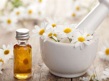 纯露精油真的有用吗,被吹上天的除虫剂