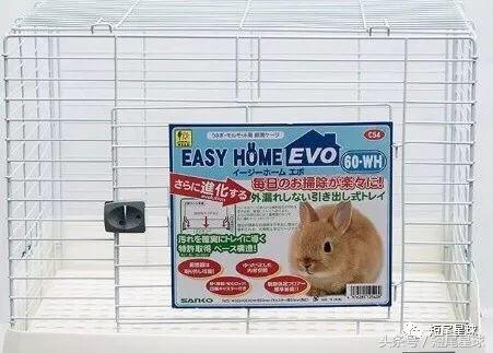 兔兔需要买多大的兔笼,兔兔的专用兔笼