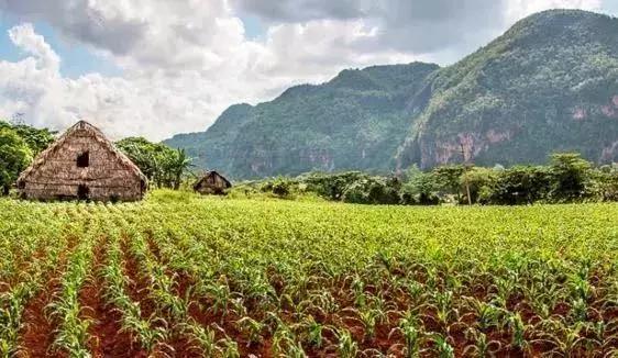 涓嶅閿欒繃鐨勬梾琛岀洰鐨勫湴,姝ょ敓蹇呭幓鐨勬梾娓哥洰鐨勫湴