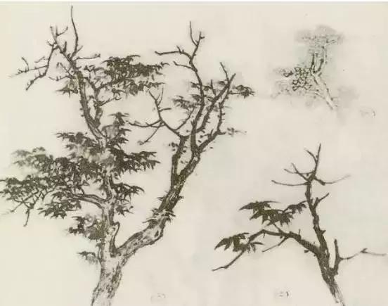 怎么画枯萎的树简单又好看,成长树怎么画小学生六年级