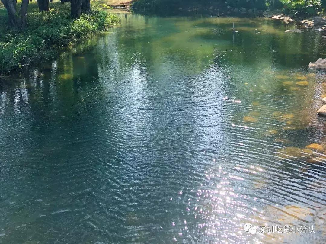 深圳福田结婚登记处环境,深圳最美结婚登记处