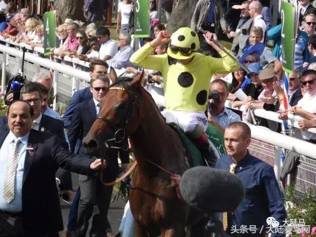 迪拜王室7辆价值60亿黄金跑车,迪拜王子买了13亿奔驰