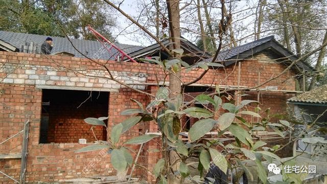 老旧四合院设计图及效果图,农村比较简单一点的中式四合院