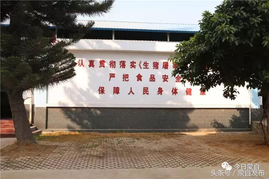 过年了，蒙自的这*猪种**肉千万别买！