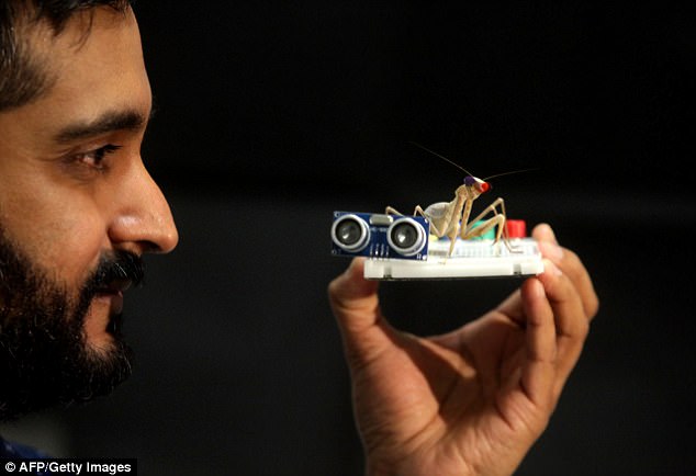 真实的科幻小说:人体细胞培育骨骼,人脸识别墨镜让逃犯无处可逃