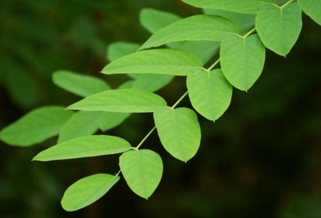 佛性知行合一是王道,佛性修养