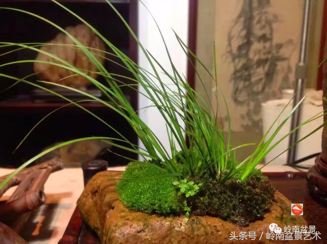 过年送礼好不好,过年送礼单数还是双数好