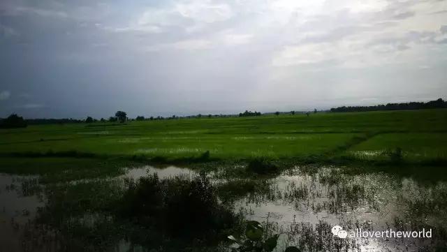 独行于缅甸,一瞥这众神国度