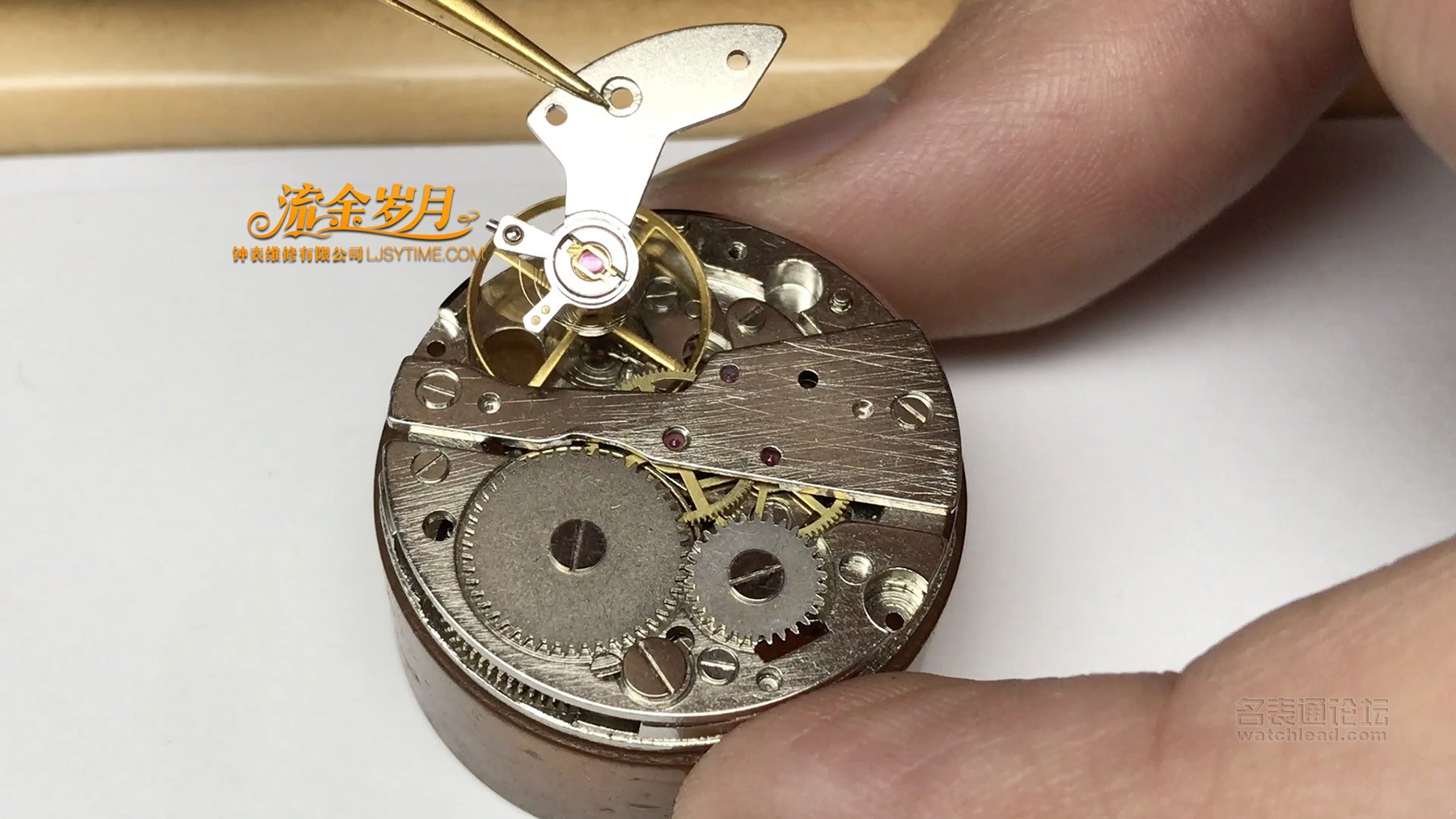 浪琴修表的经历,浪琴表如何保养和维修