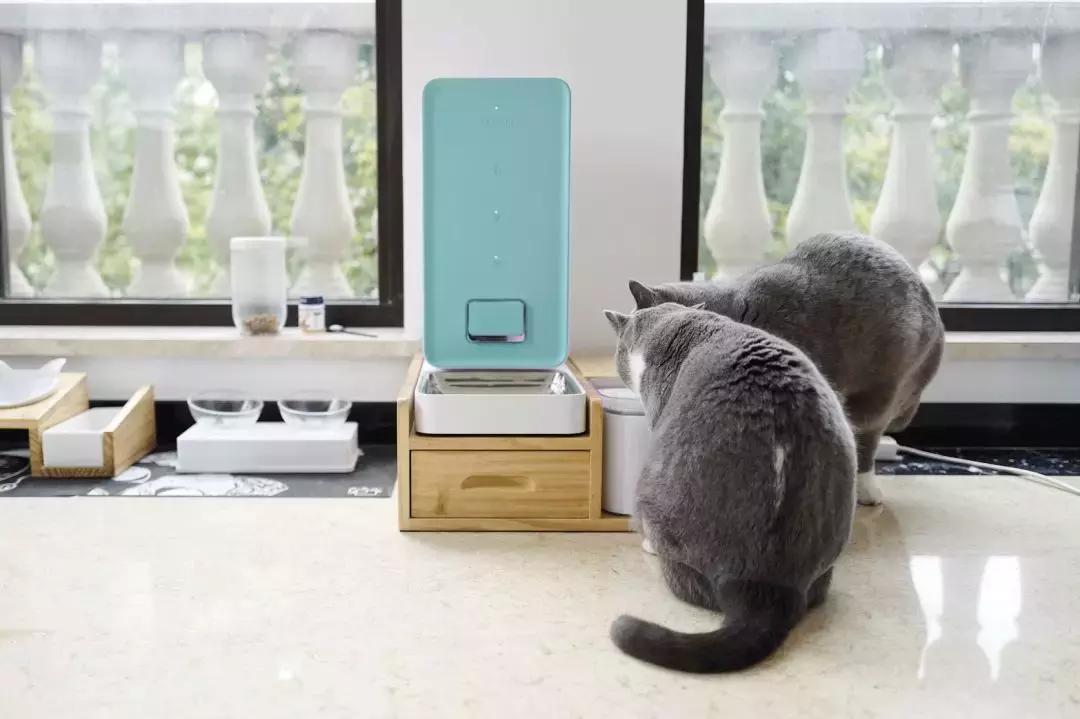 宠物猫自动喂食器推荐,宠物猫智能喂食器和智能喂水器