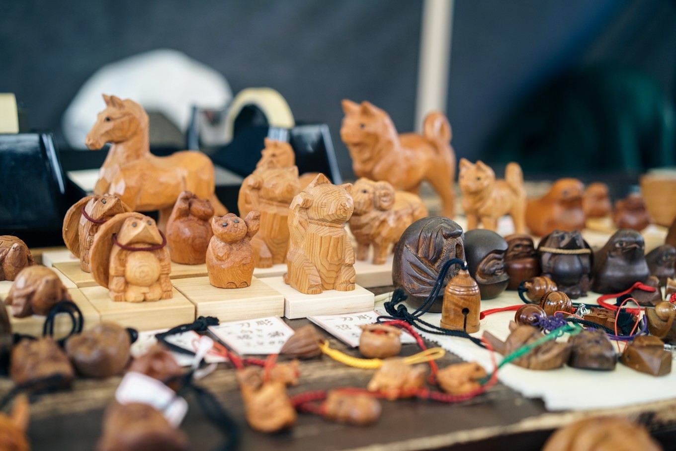 handycam,handycam亲子游