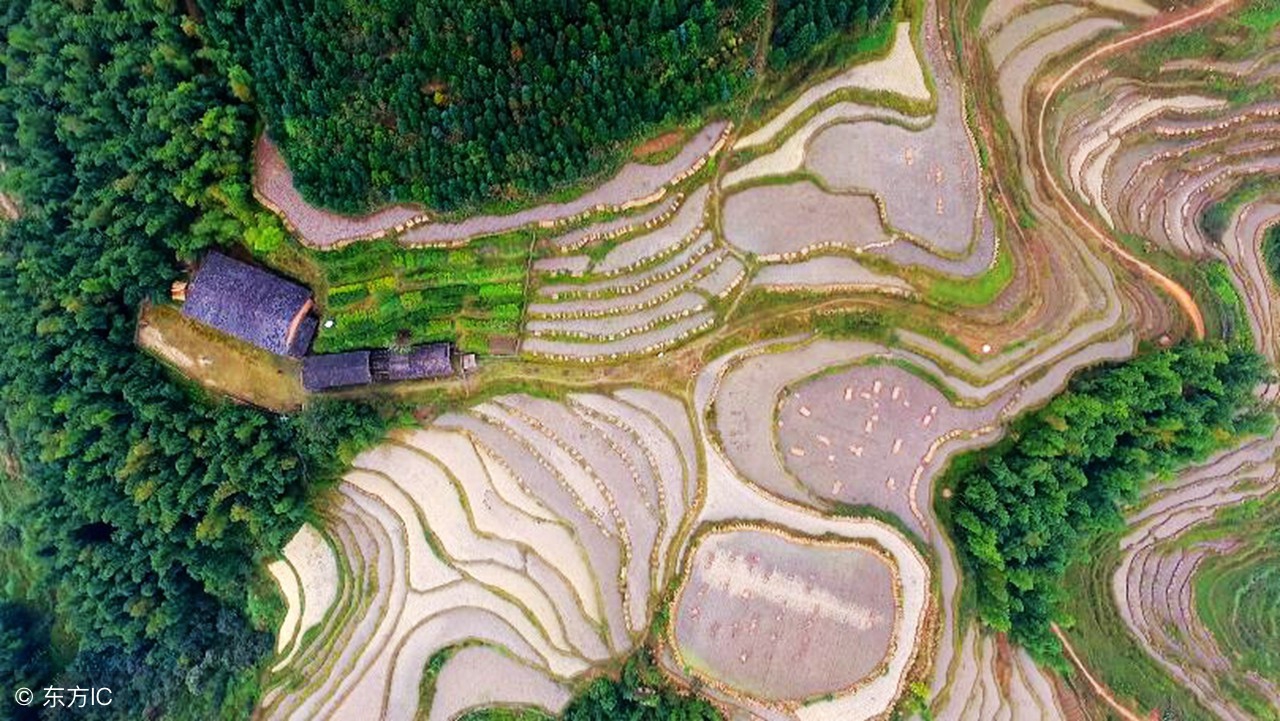 情人节十大最美现代情诗,情人节最美的诗句经典语录