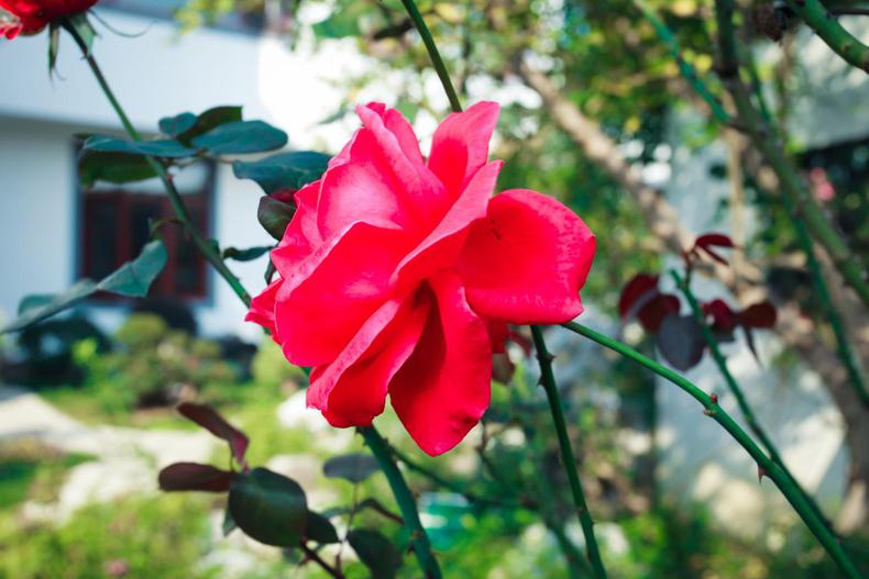 去苏州太湖度假村攻略,苏州东山三山岛古井山庄