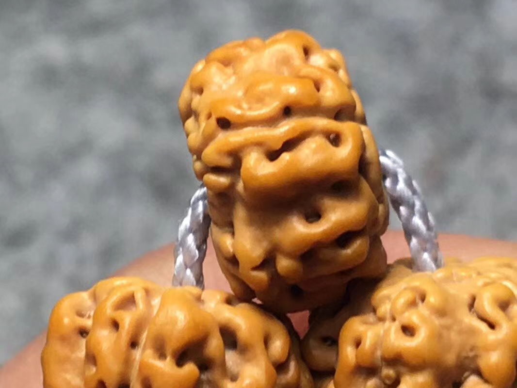 ufo金刚是什么品种,金刚菩提飞碟双龙怎么盘