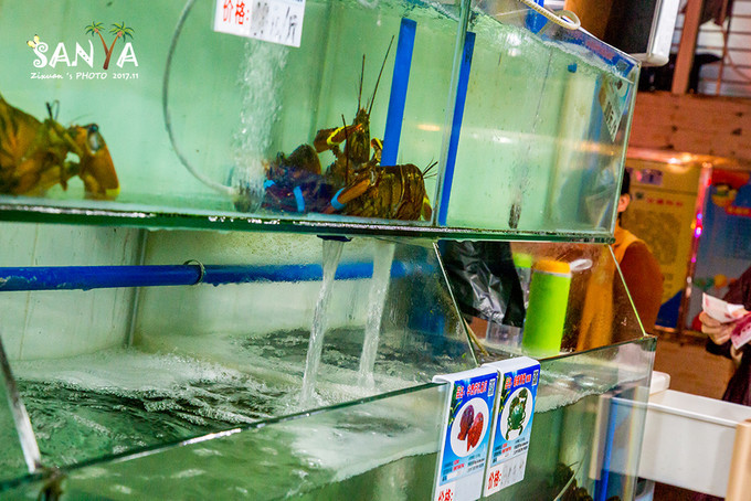 三亚离海南有多少公里,三亚一生去几次