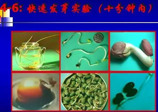 人体特异功能大揭秘,开发人体特异功能的经典方法