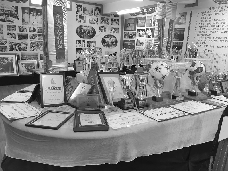 广西金嗓子完整版,广西金嗓子