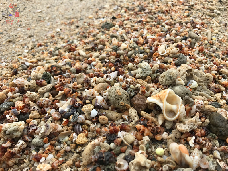 火山石晒盐，活珊瑚与苏东坡的晚年——我在海南画了一个圈儿,6