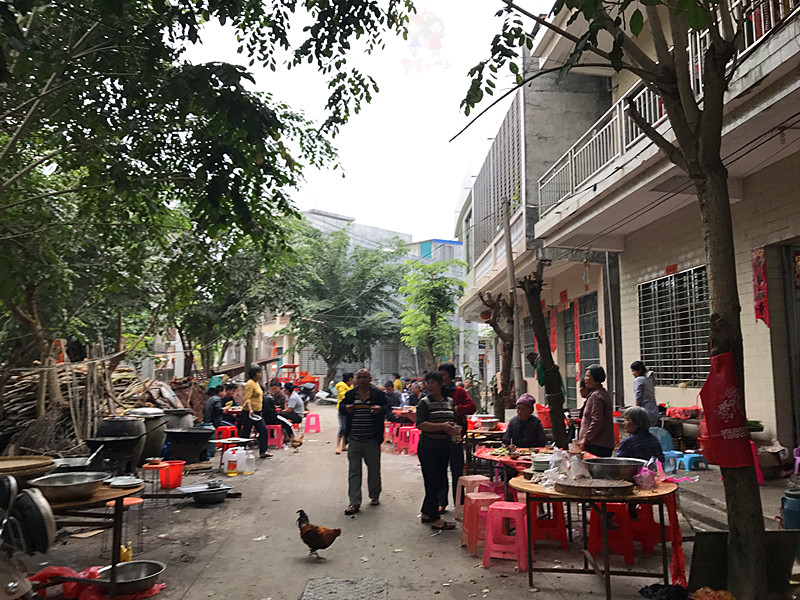 火山石晒盐，活珊瑚与苏东坡的晚年——我在海南画了一个圈儿,6