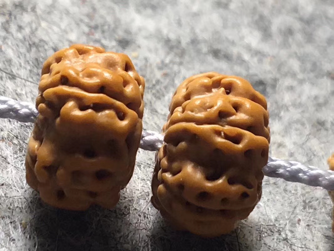 ufo金刚是什么品种,金刚菩提飞碟双龙怎么盘