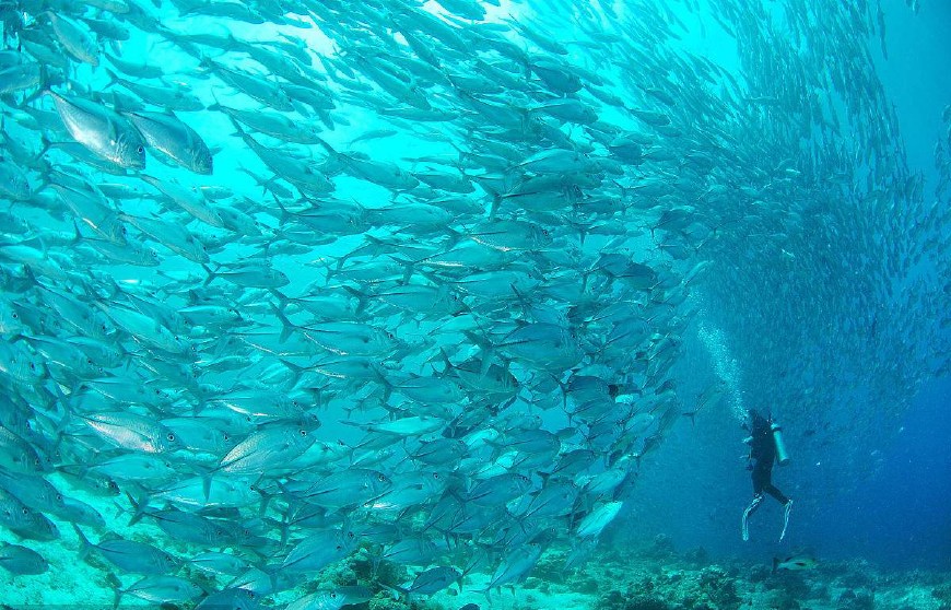夏天适合情侣去的小众海岛,最适合情侣去的小众海岛