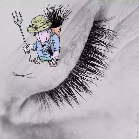 插图和摄影插画,插画风格摄影