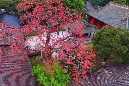 广州旅游景点推荐团购,春节广州有哪些好玩的景点推荐