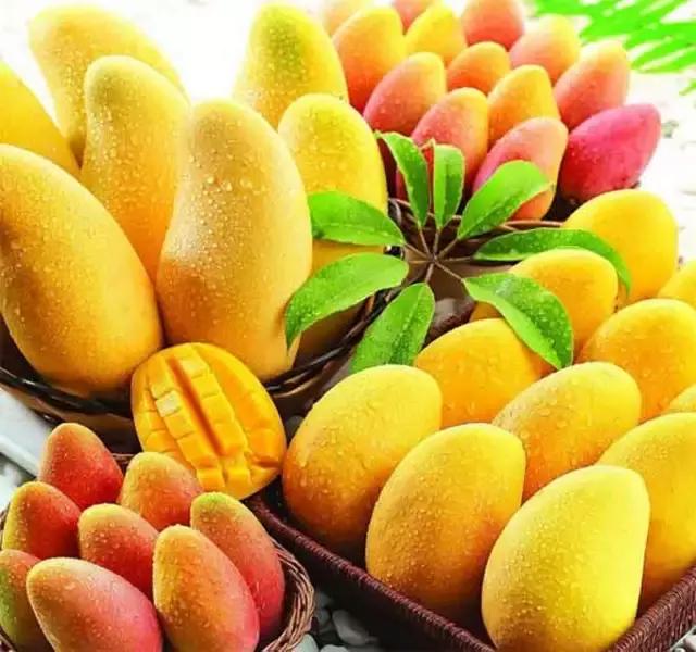 过年去河口旅游攻略,中越边境旅游攻略