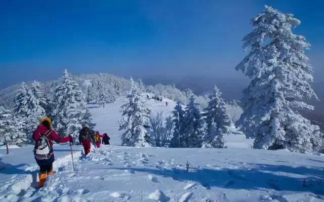 冬季吉林三天旅游攻略,2023冰雪旅游攻略