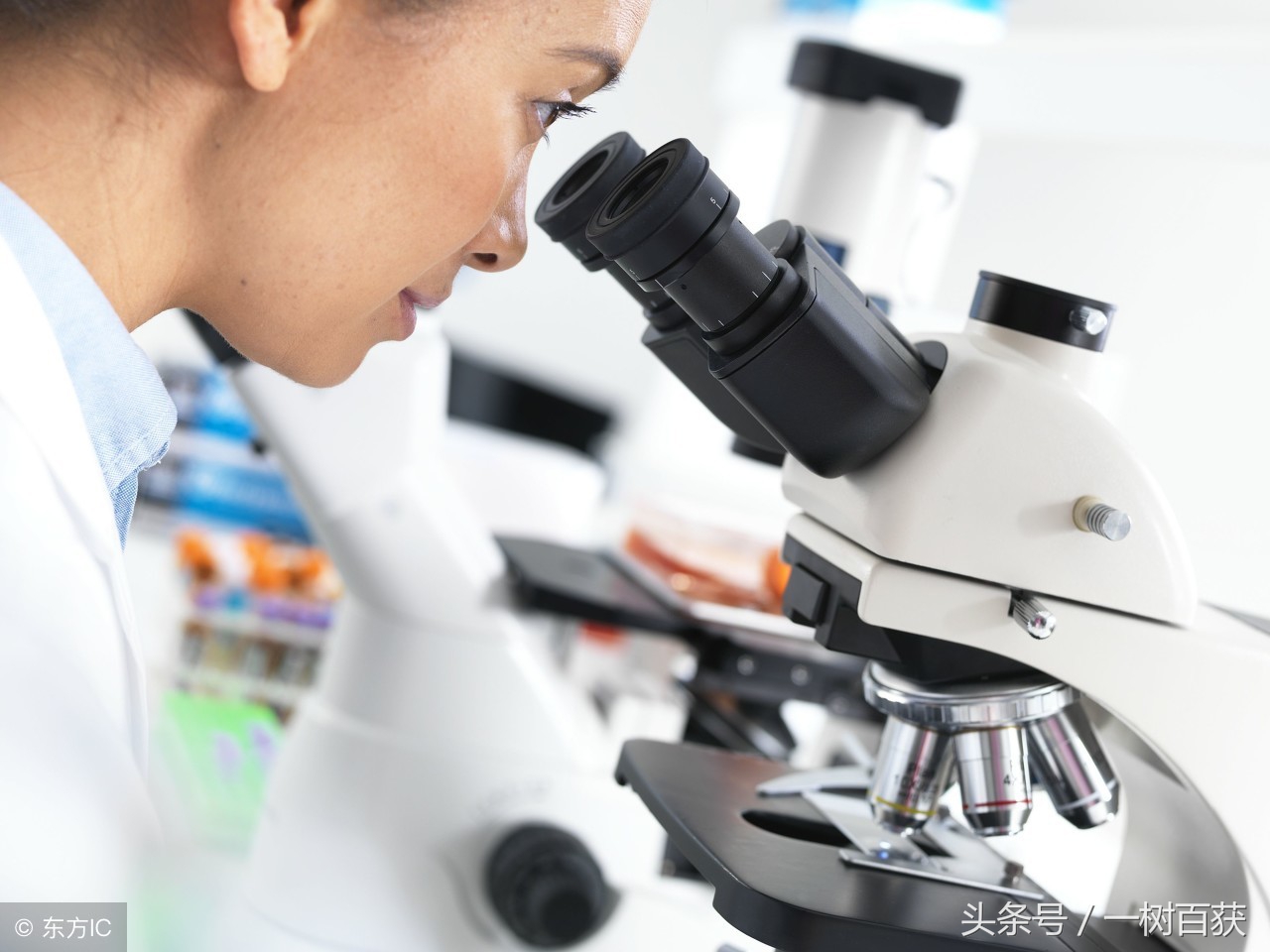 八上物理生活中的透镜电子版,初二物理上册生活中的透镜课件