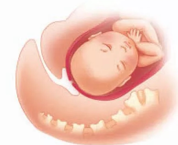 准妈妈必知的10个产检时间,准妈妈新手必看100例