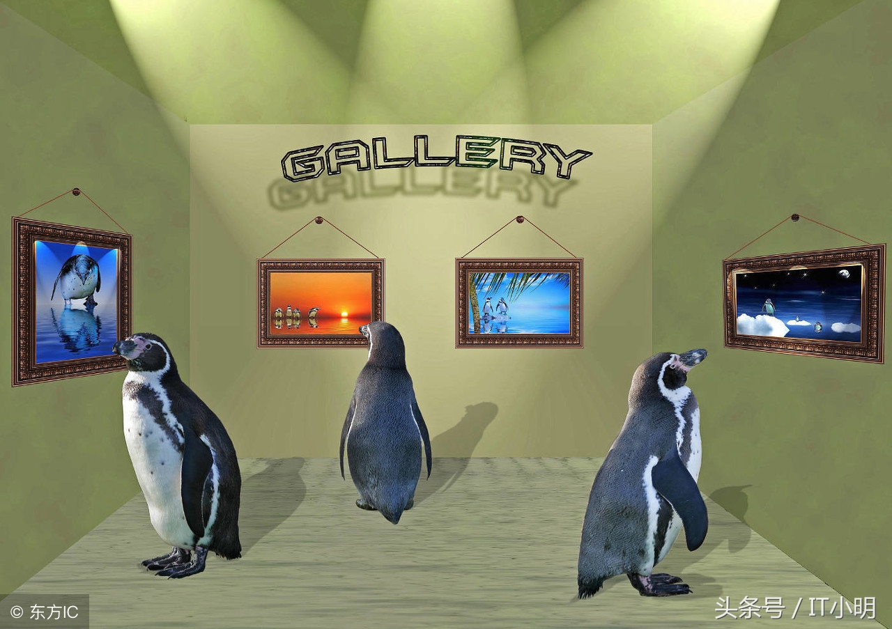 linuxtmp目录会定期清理吗,linux查看tmp目录