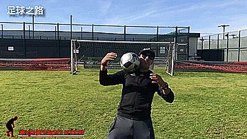 缃楃撼灏旇开灏煎ゥ鑳搁儴鍋滅悆闆嗛敠,缃楃撼灏旇开灏煎ゥ鑳搁儴鍋滅悆