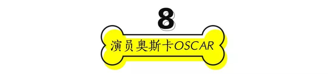 成都的十条网红狗，有的住豪宅穿名牌，比人活得还巴适