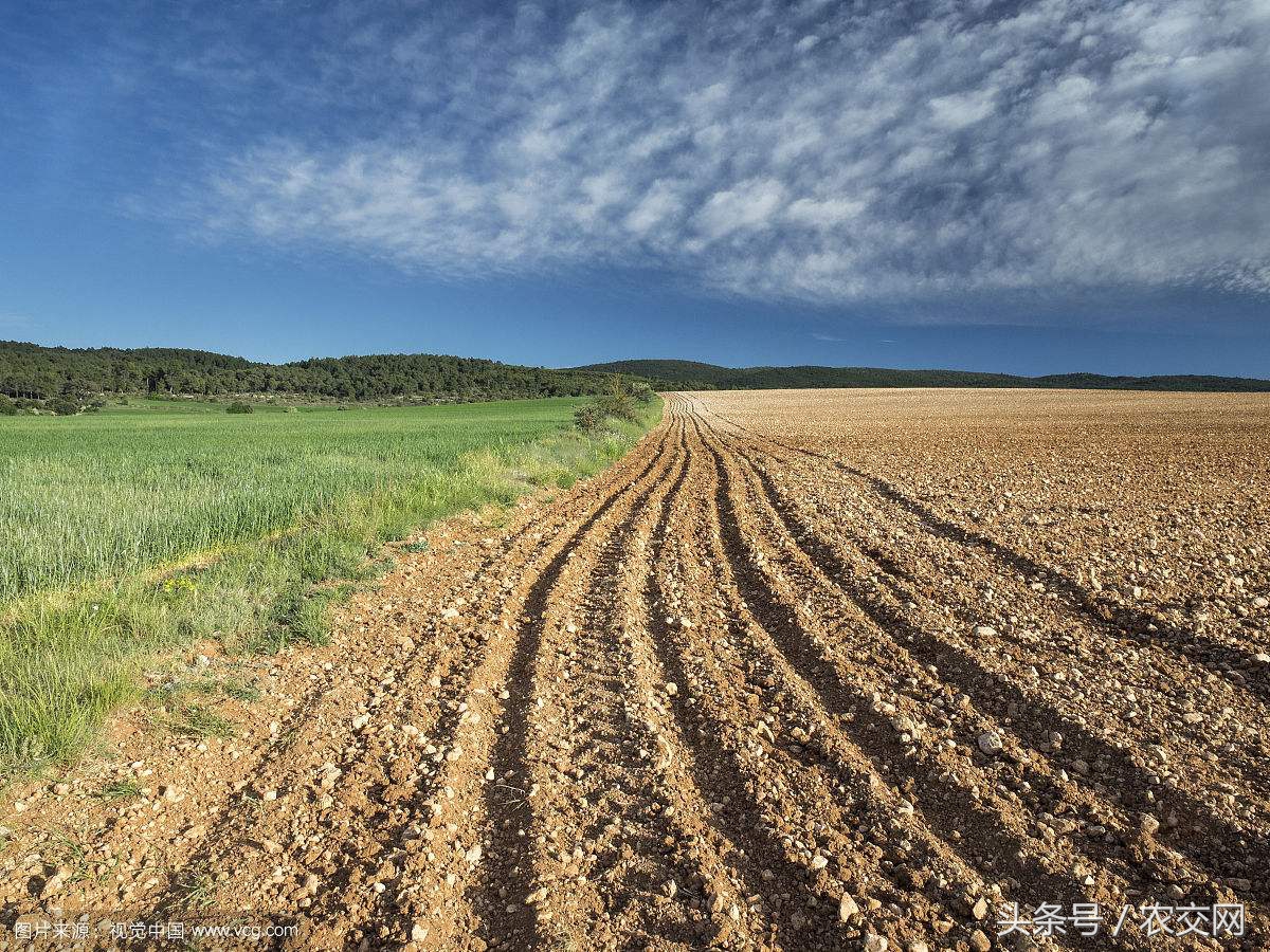 农村户口迁出还享有村集体土地吗,非农户口能分配田地吗