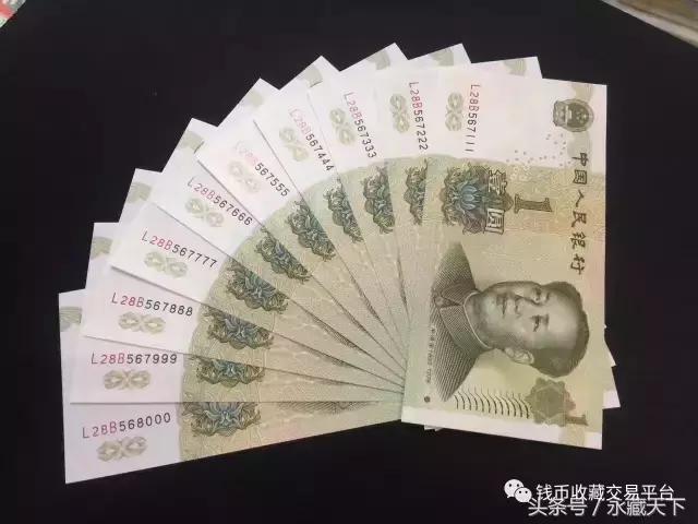 99版一元大叶兰有几冠,991大叶兰品种详细介绍