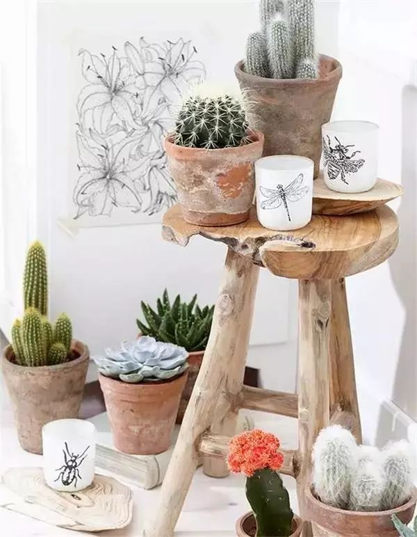 新的一年生活充满阳光,有一种生活叫有氧